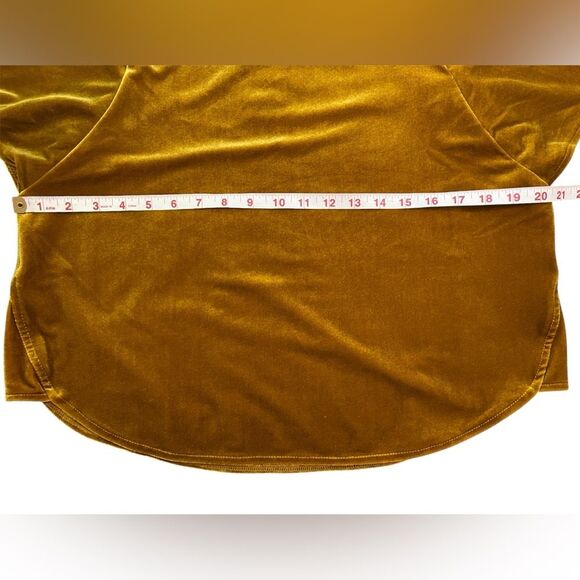 Madewell Vintage Gold Velvet Butterfly Short Sleeve Top - Picture 7 of 13